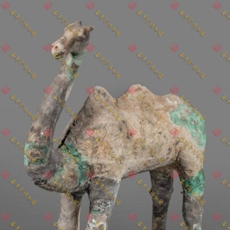 唐代王仁求墓出土陶骆驼